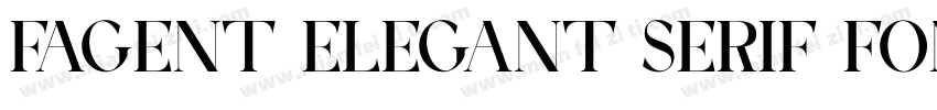 Fagent Elegant Serif Font字体转换